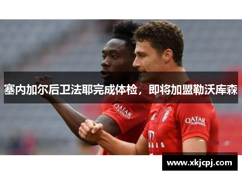 塞内加尔后卫法耶完成体检,即将加盟勒沃库森 塞内加尔后卫法耶完成体检,即将加盟勒沃库森